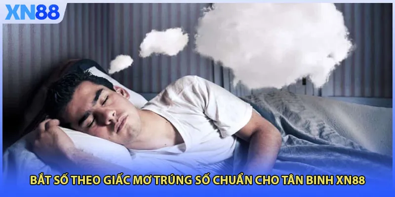 Bắt Số Theo Giấc Mơ Trúng Số Chuẩn Cho Tân Binh XN88